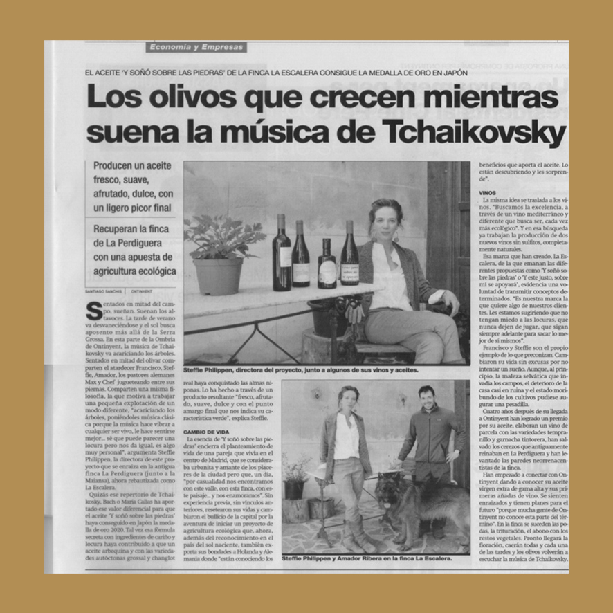 Los olivos que crecen mientras suena la música de Tchaikovsky