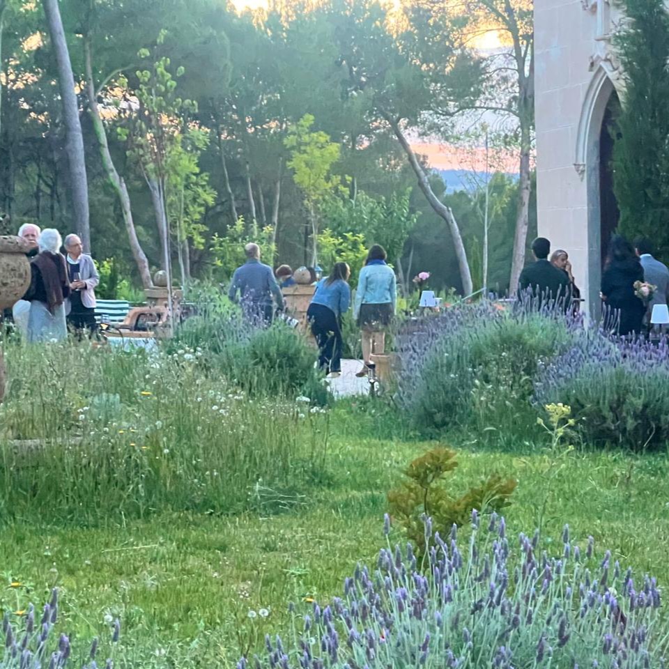 catas de vinos y aceite ecológico en una casa histórica Ontinyent valencia