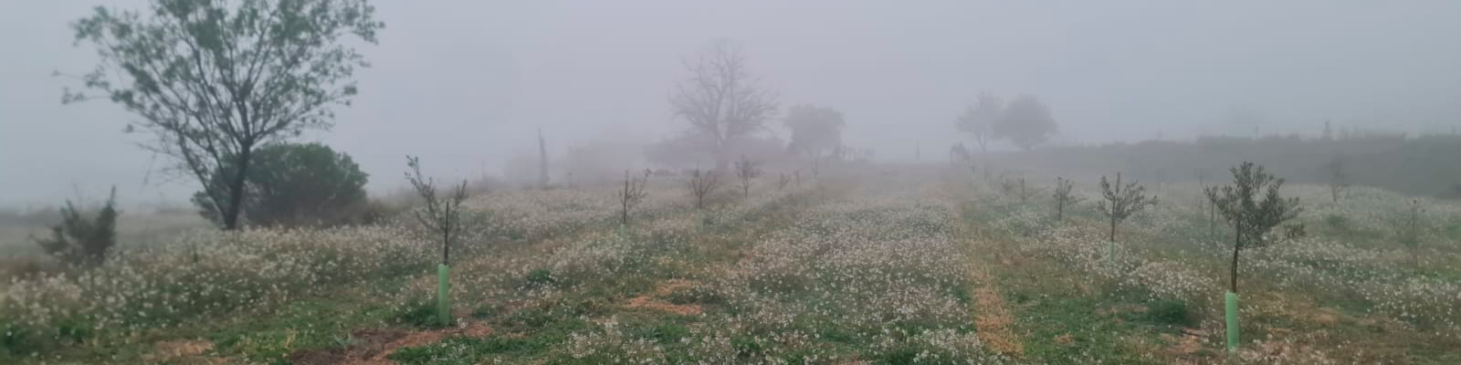 biodiversidad en finca ecológica La Escalera