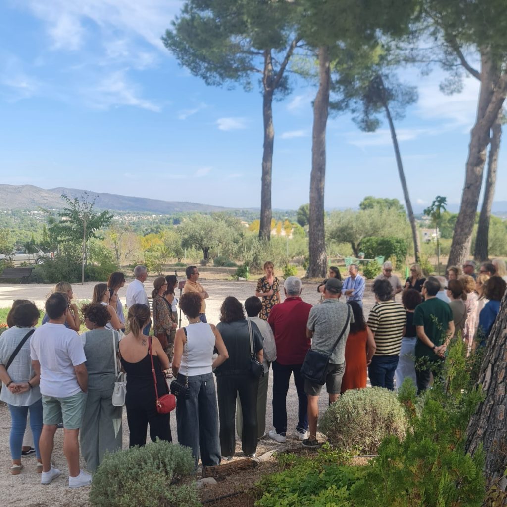 cata de vino y aceite ecológico en finca La Escalera